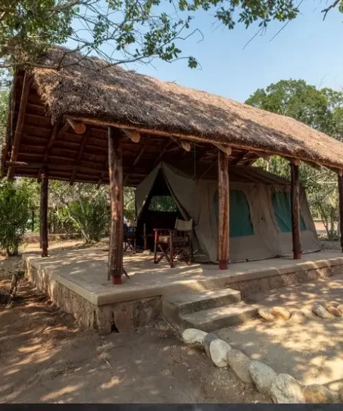 Bush Lodge