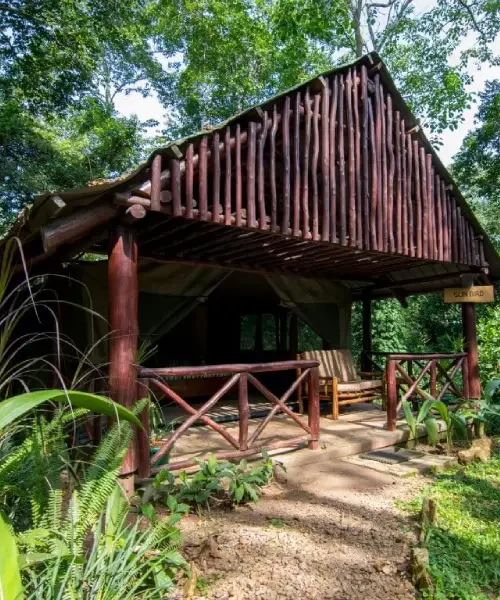 Kibale Forest Camp