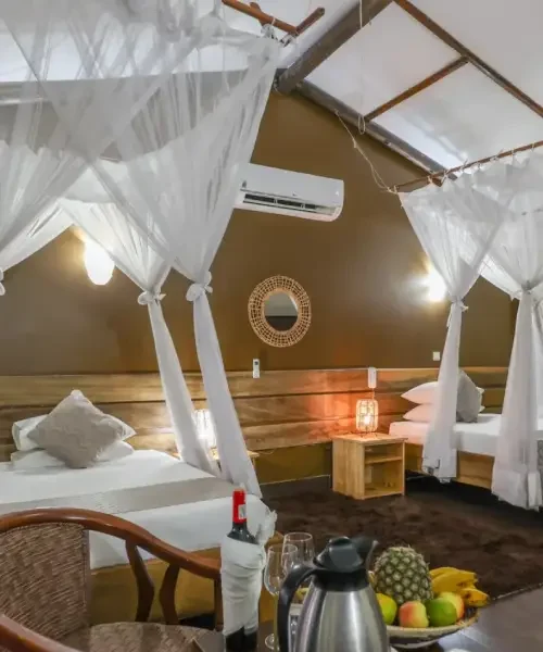 Pakuba Safari Lodge