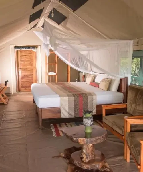 Twinga Safari Lodge