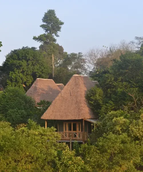 Ishasha Jungle Lodge