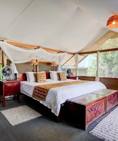 Ishasha Wilderness Camp