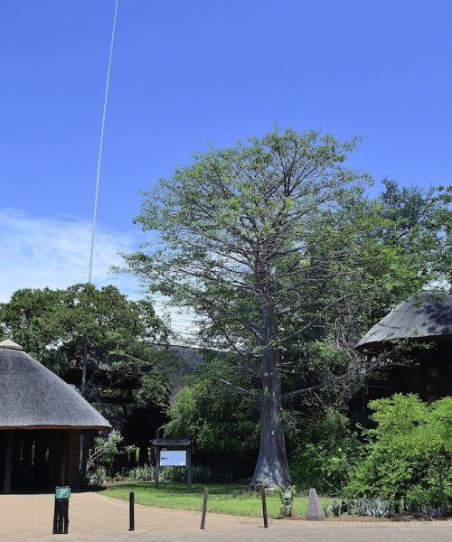 Mopani Rest Camp