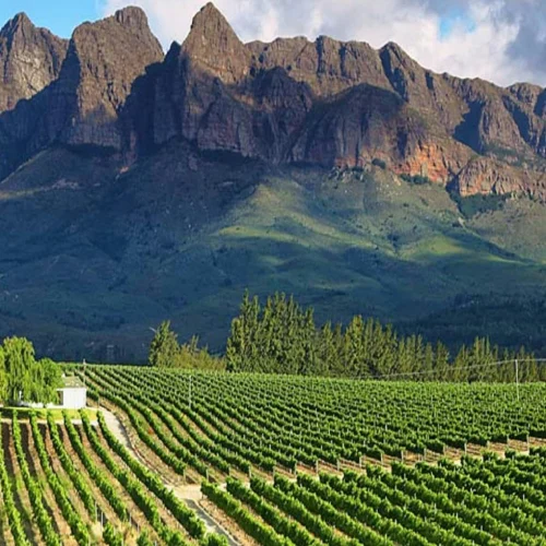 Winelands