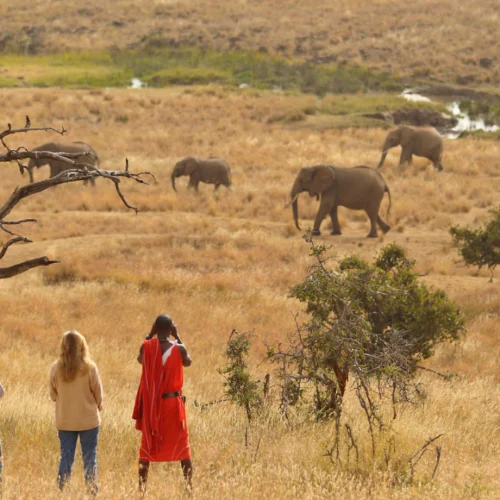 Masai Mara Game Reserve